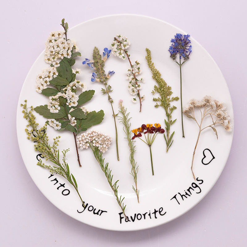 500Pcs Paket Besar Bunga Pakis - Dried Flower Bookmark ulasan dan harga